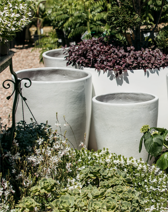 large plant pots sydney Palms Glazed Planter