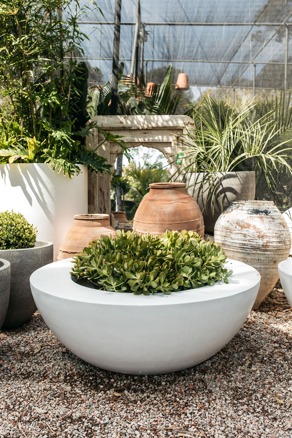large white planter pot Palms Titan Bowl White
