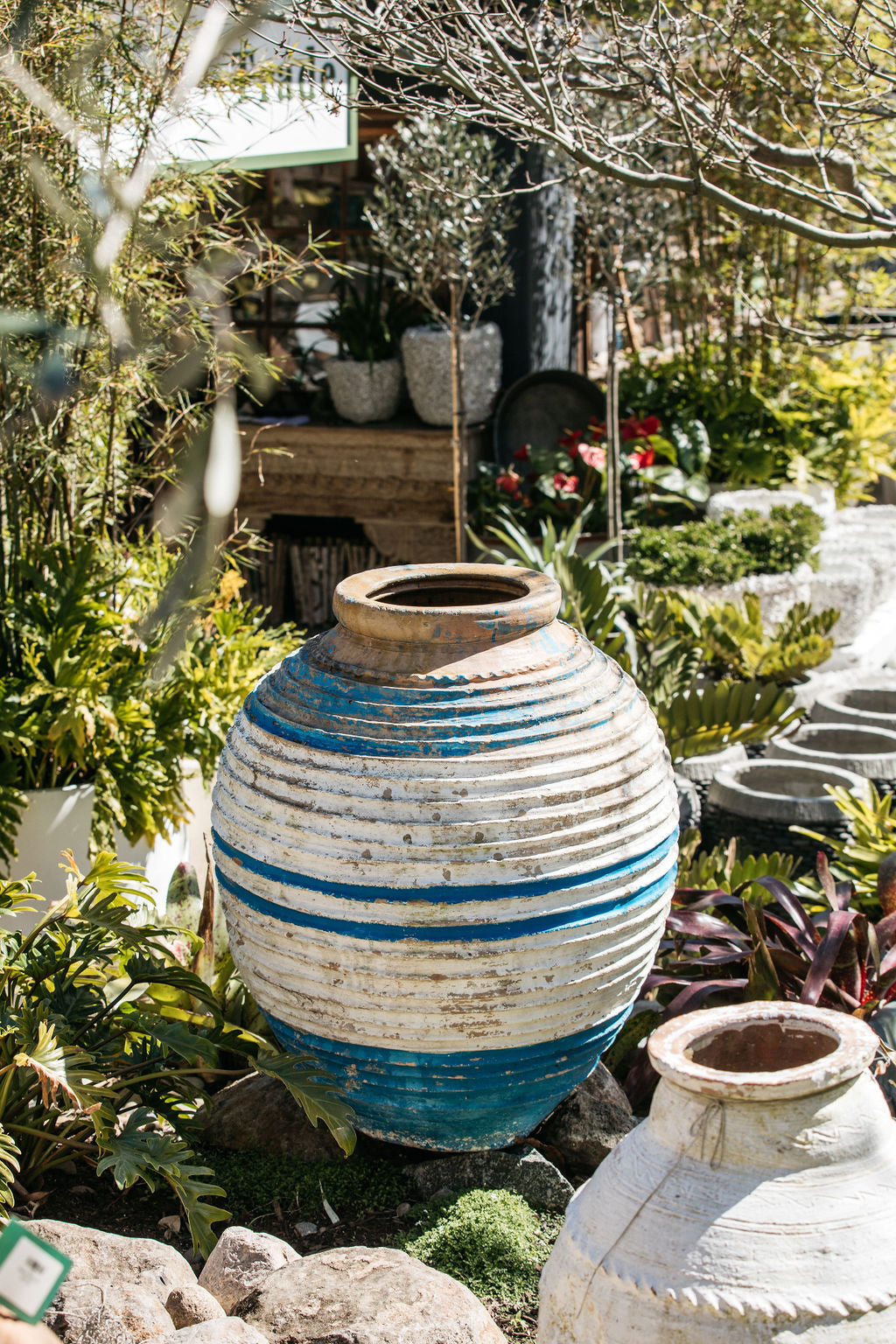 greek plant pots Greek Ring Pot – The Palms Sydney