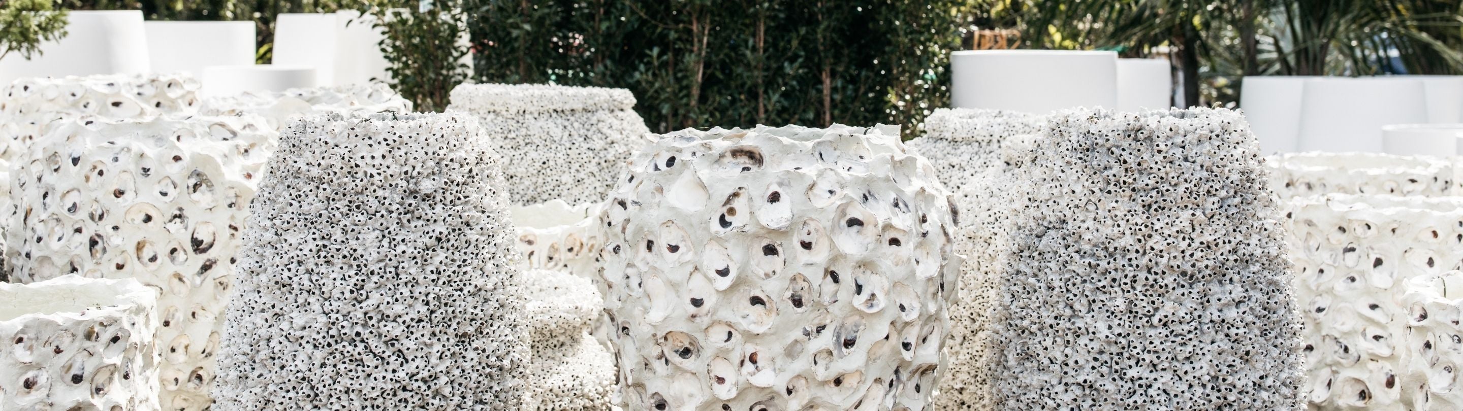 Oyster & Barnacle