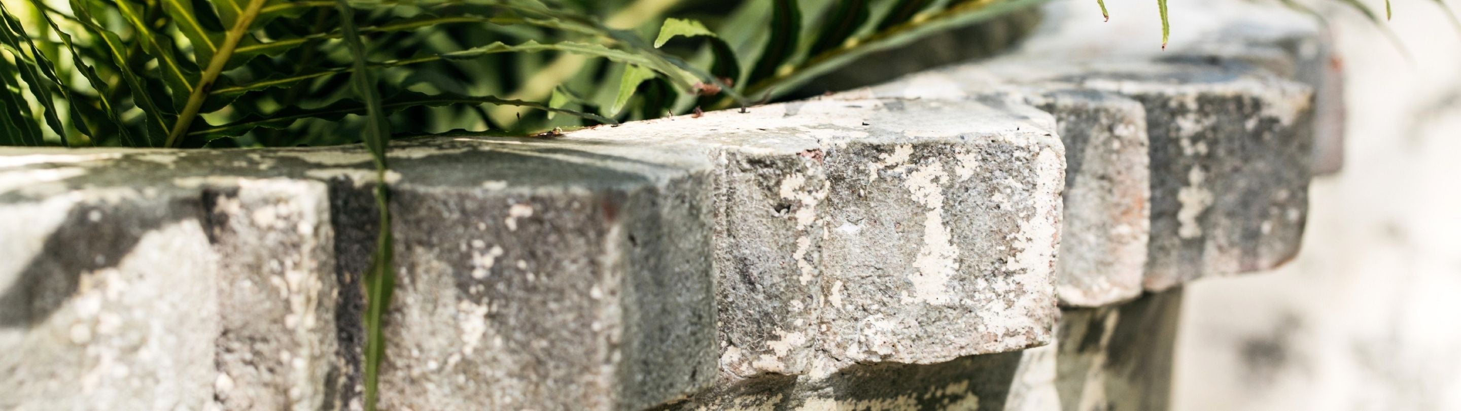 Limestone