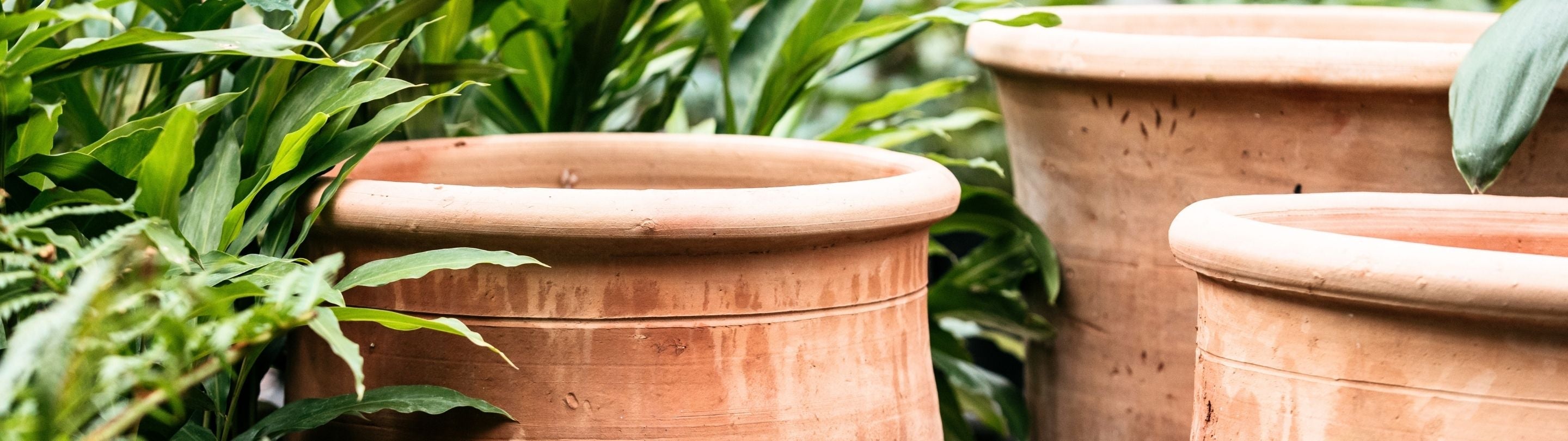 Terracotta