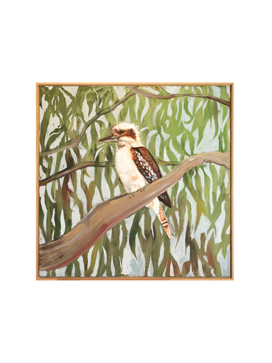 Cheeky Bugger (Kookaburra)