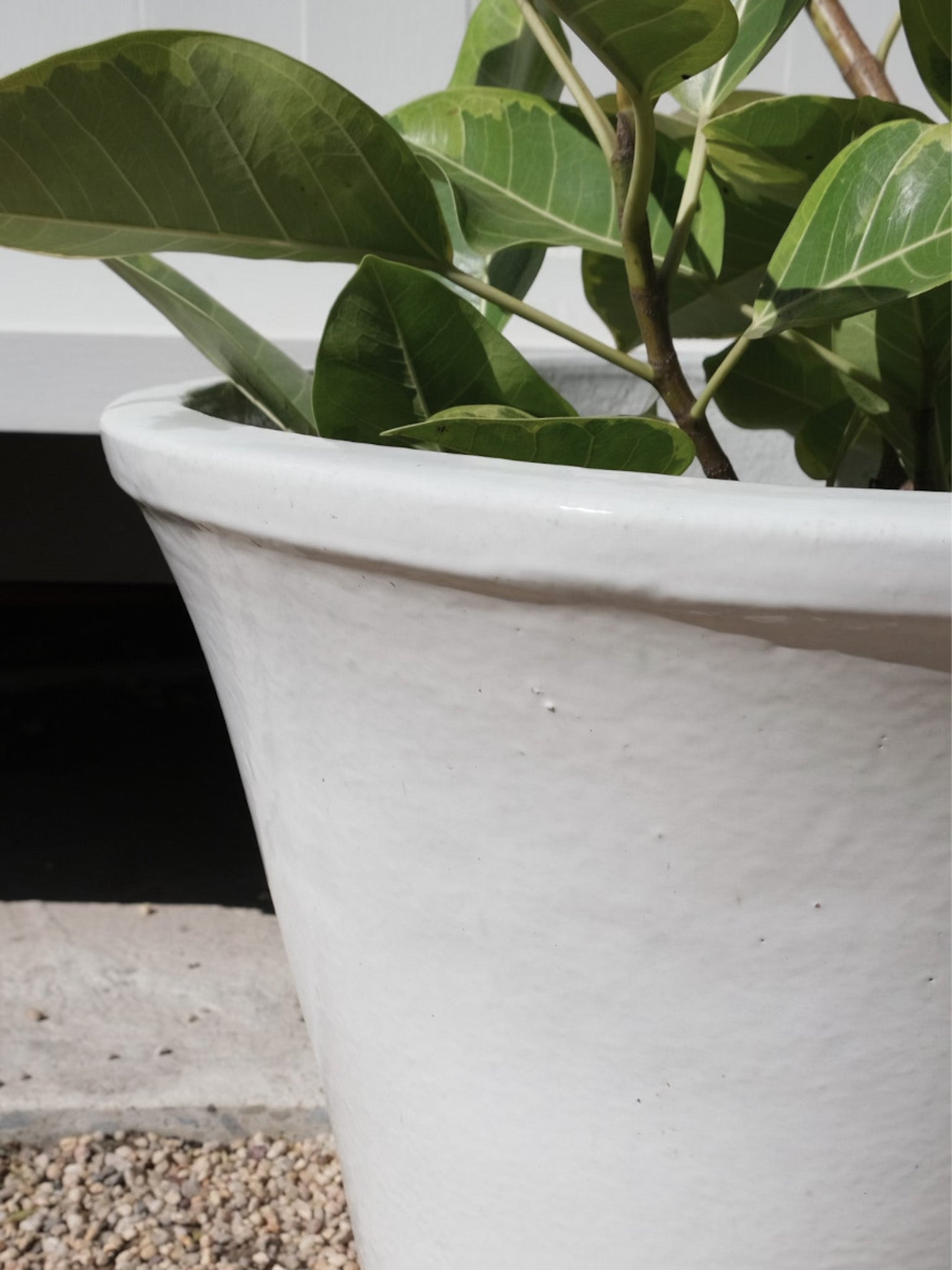 Palms Glazed Flower Pot