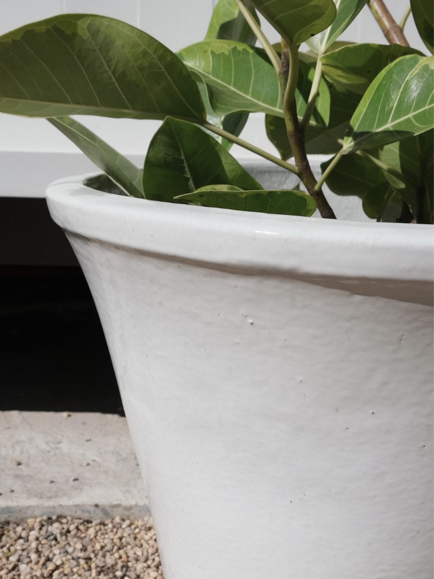 Palms Glazed Flower Pot