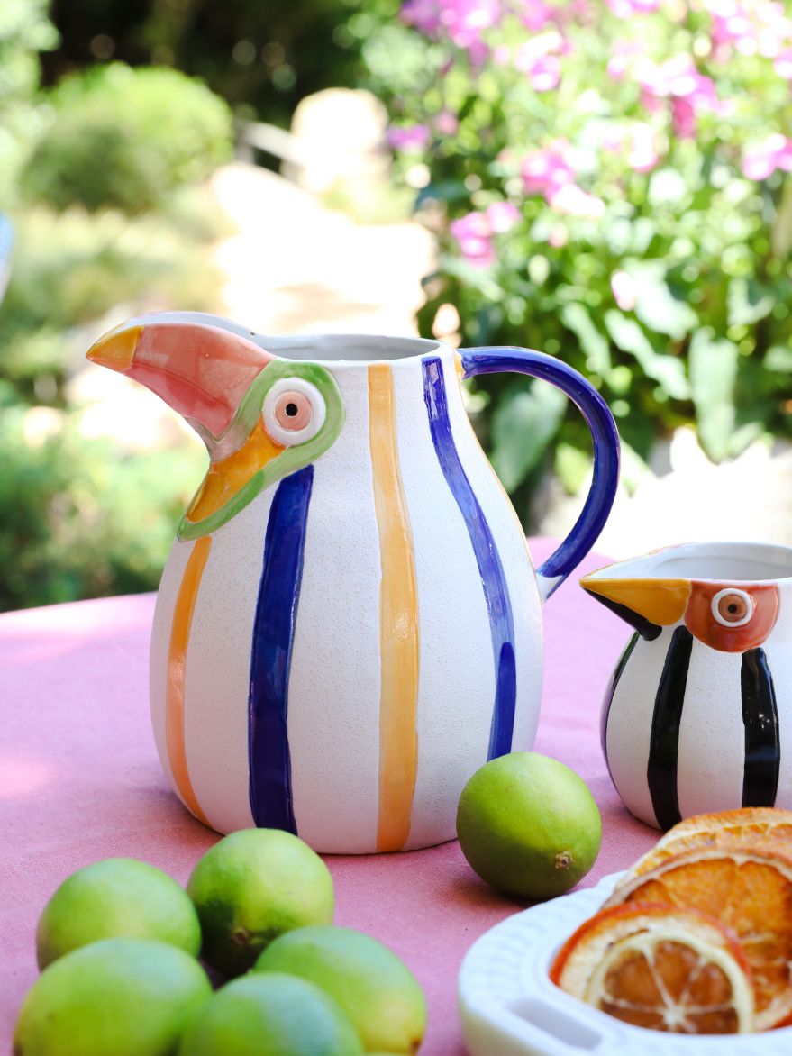 Toucan Water Jug