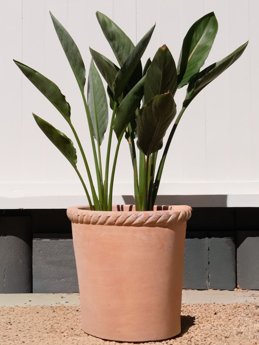 Terracotta Rope Planter