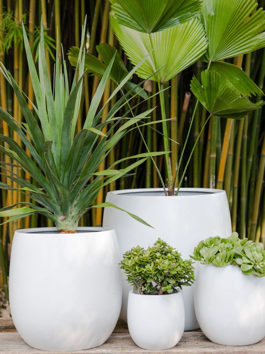 Round Cylinder Planter