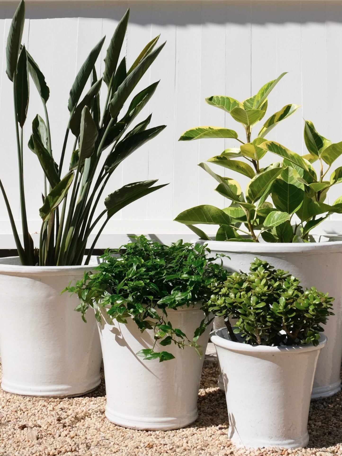 Palms Glazed Flower Pot