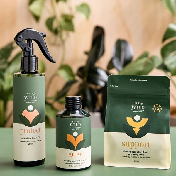 Houseplant Essentials Kit