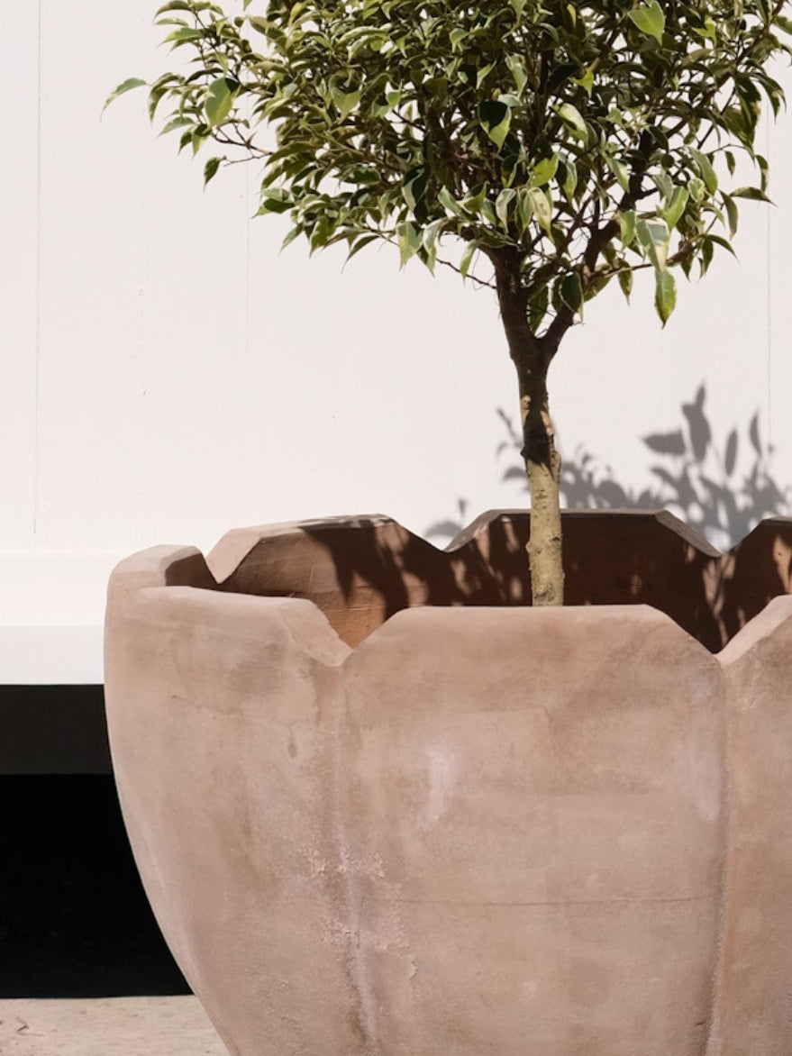 Terracotta Tulip Planter