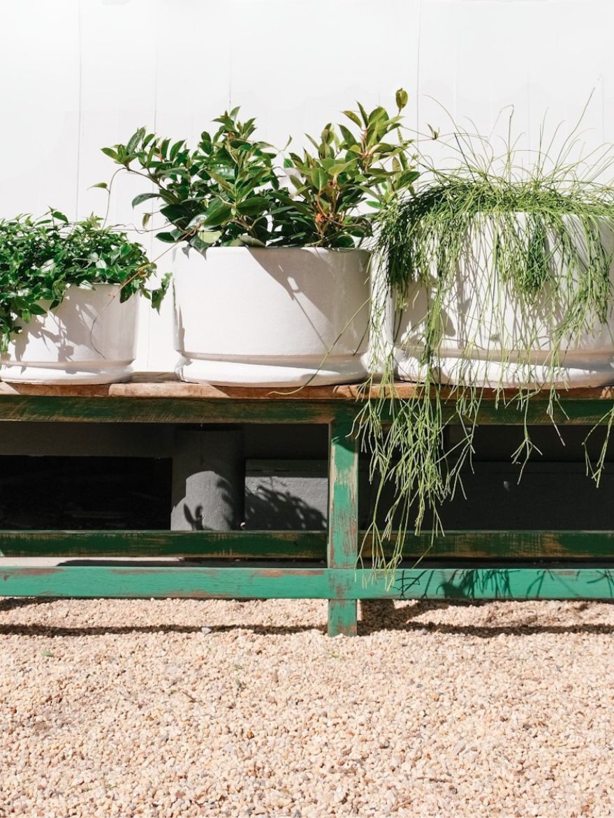 Palms Glazed Drum Planter