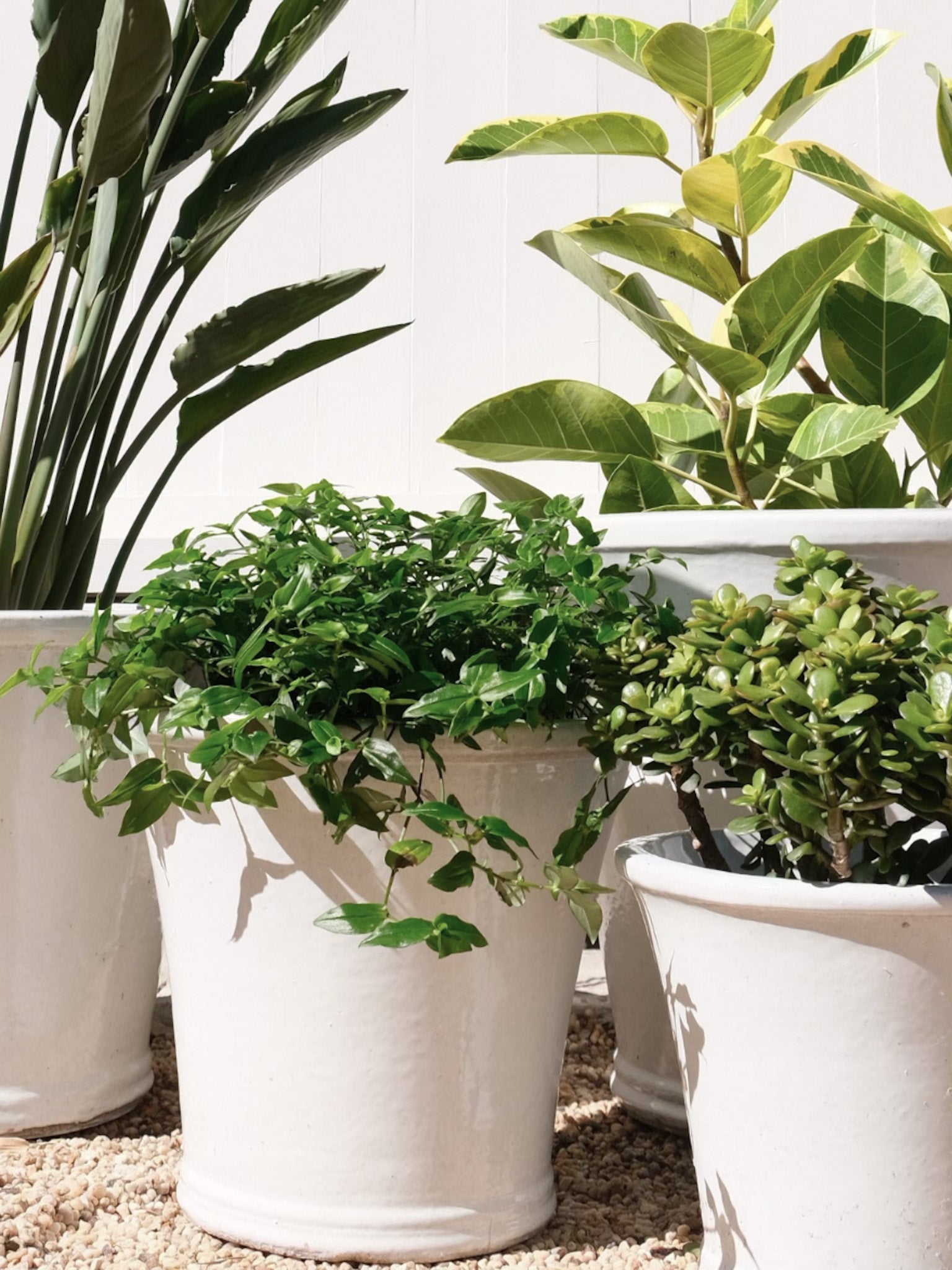 Palms Glazed Flower Pot