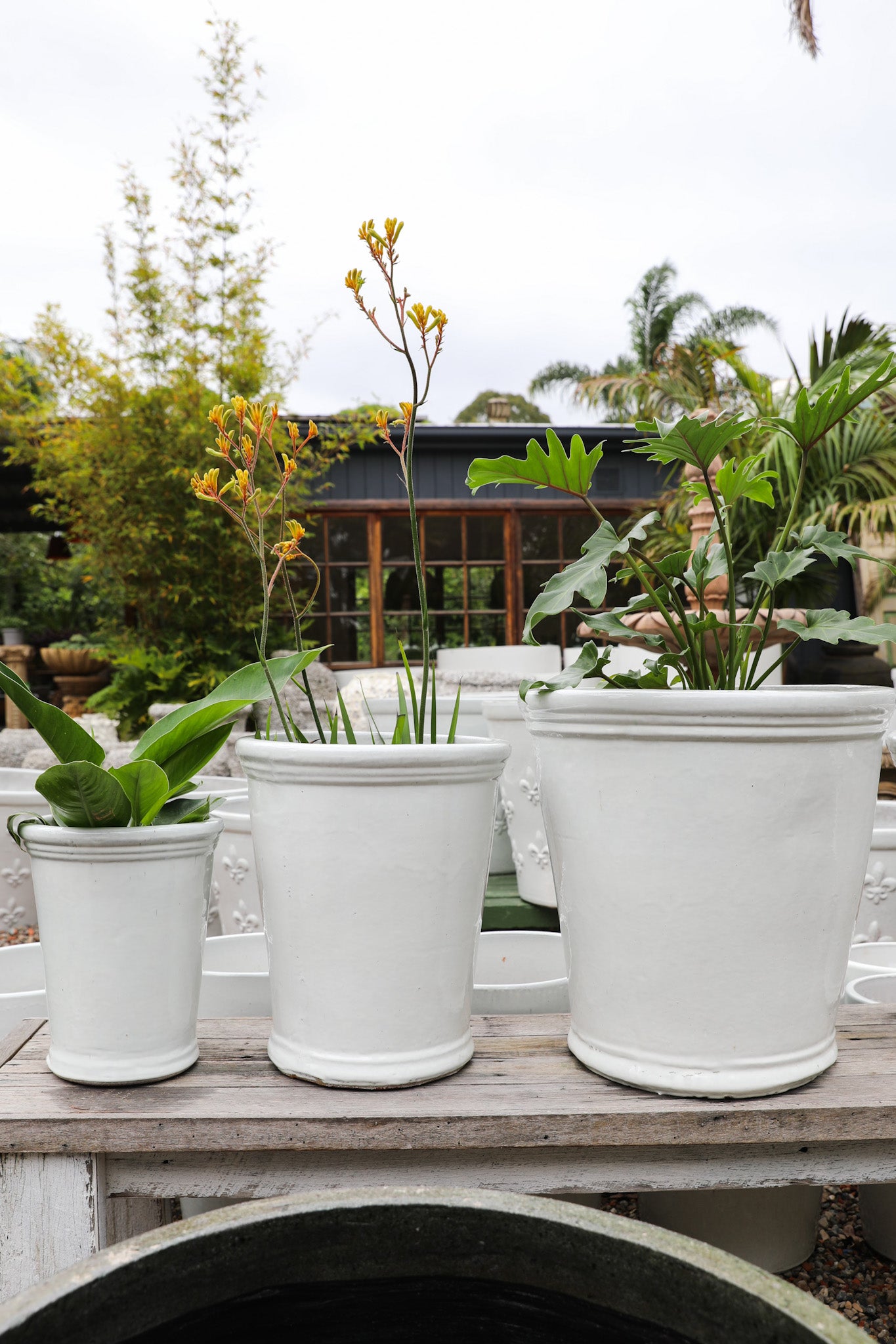 Palms Rolled Top Planter