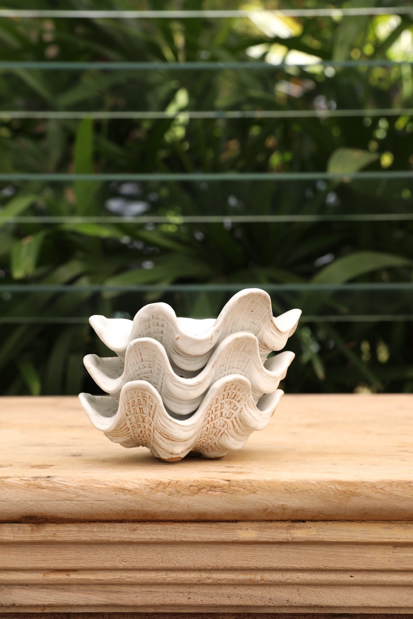 Shell Dish