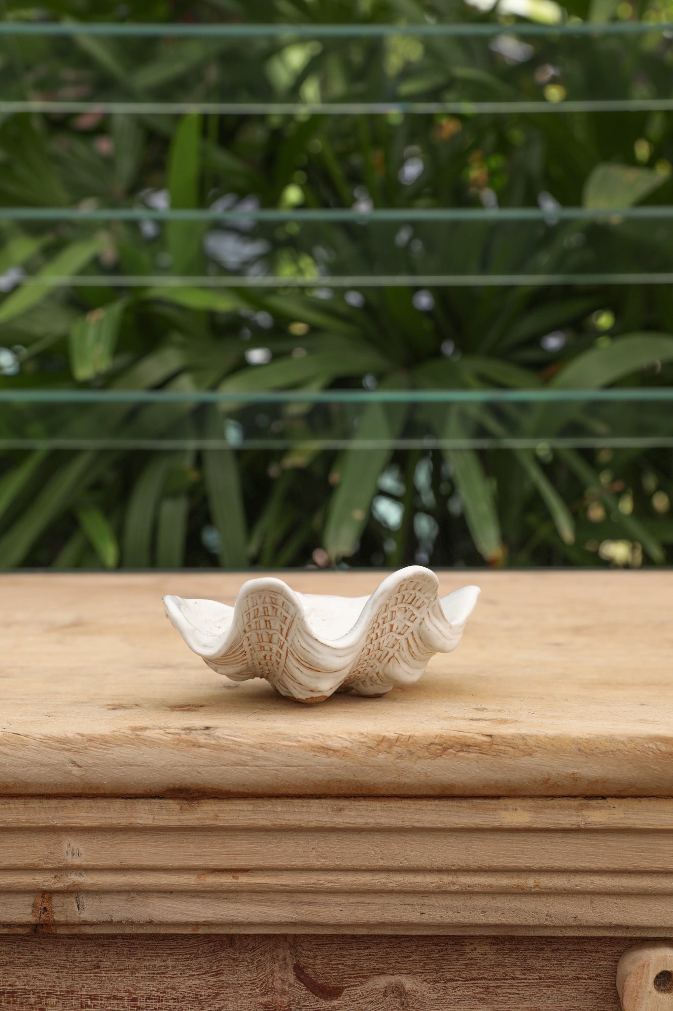 Shell Dish β The Palms Sydney