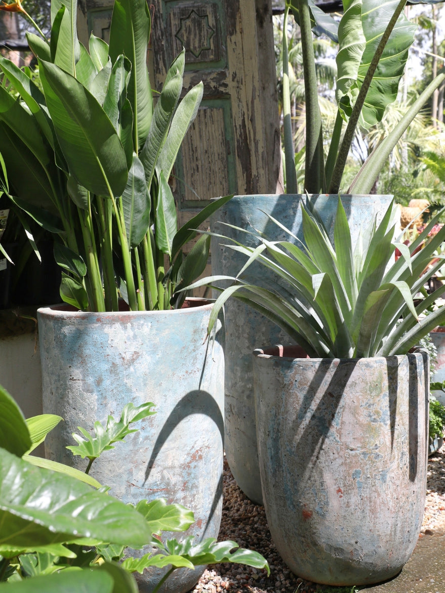 Atlantis Bullet Planter