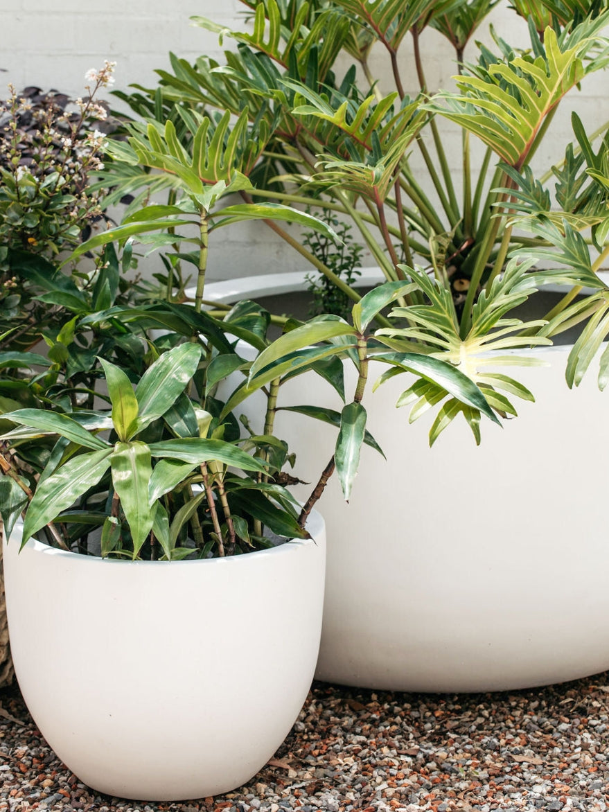 Lightweight Egg Planter White