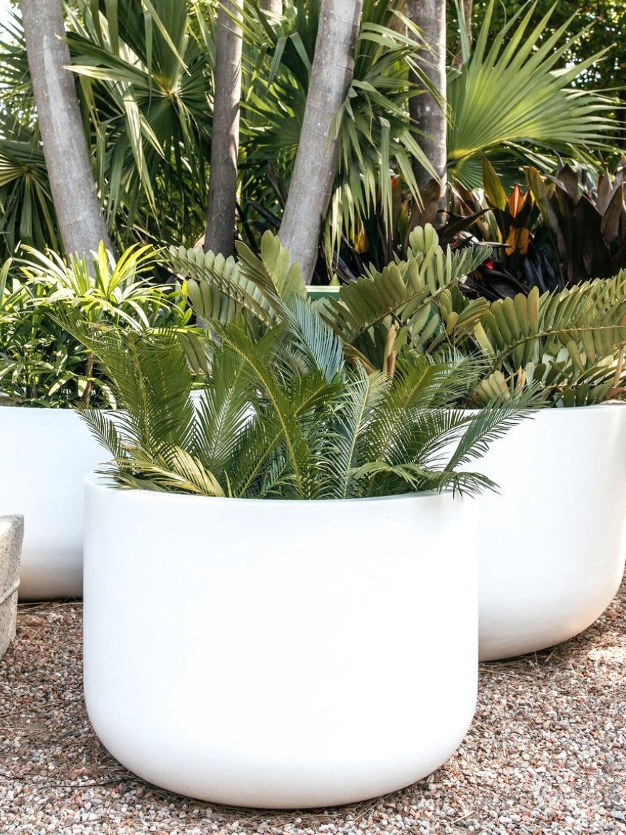 Palms Drum Satin White