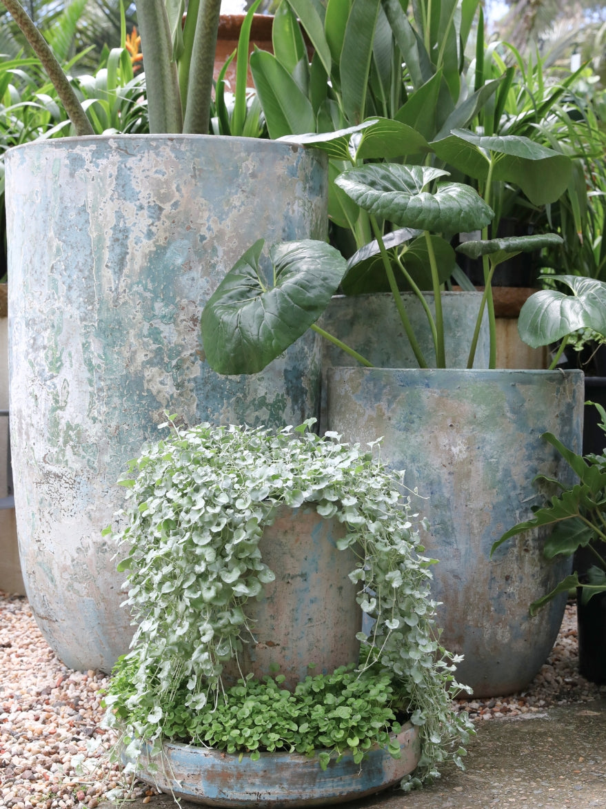 Atlantis Bullet Planter