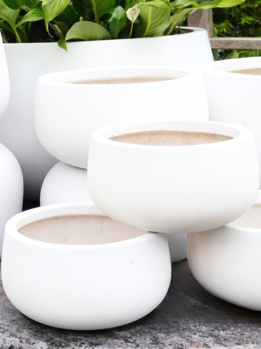Andy Bowl White