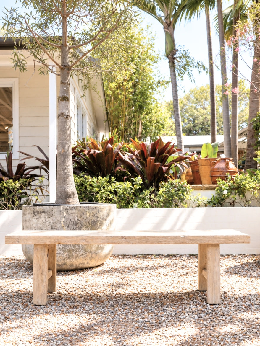 Chinese Elm Bench