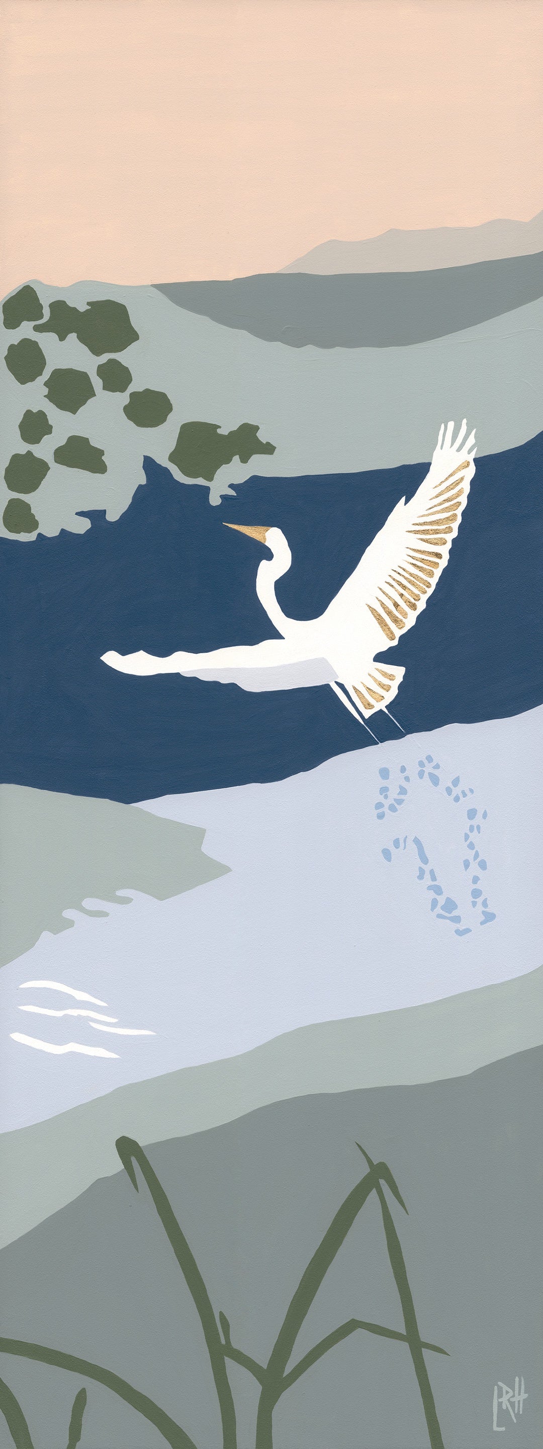 Great Egret, Careel Creek