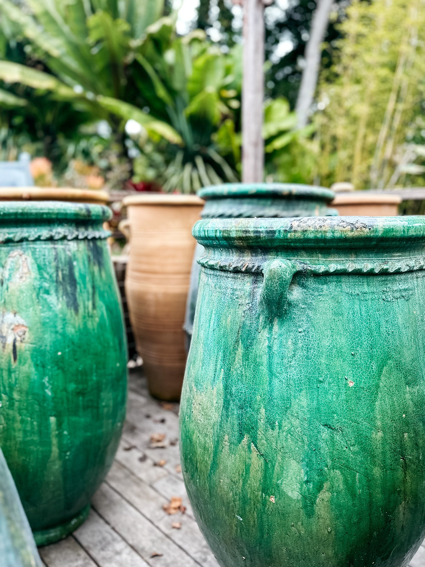 90cm plant pot Green Tamegroute Open Mouth Pot 90cm – The Palms Sydney