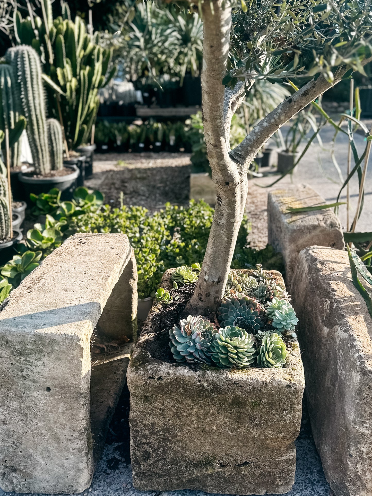 Solid Stone Trough