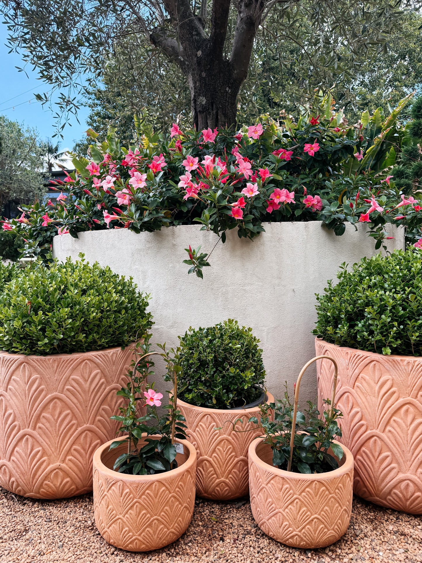 Terracotta Motif Planter