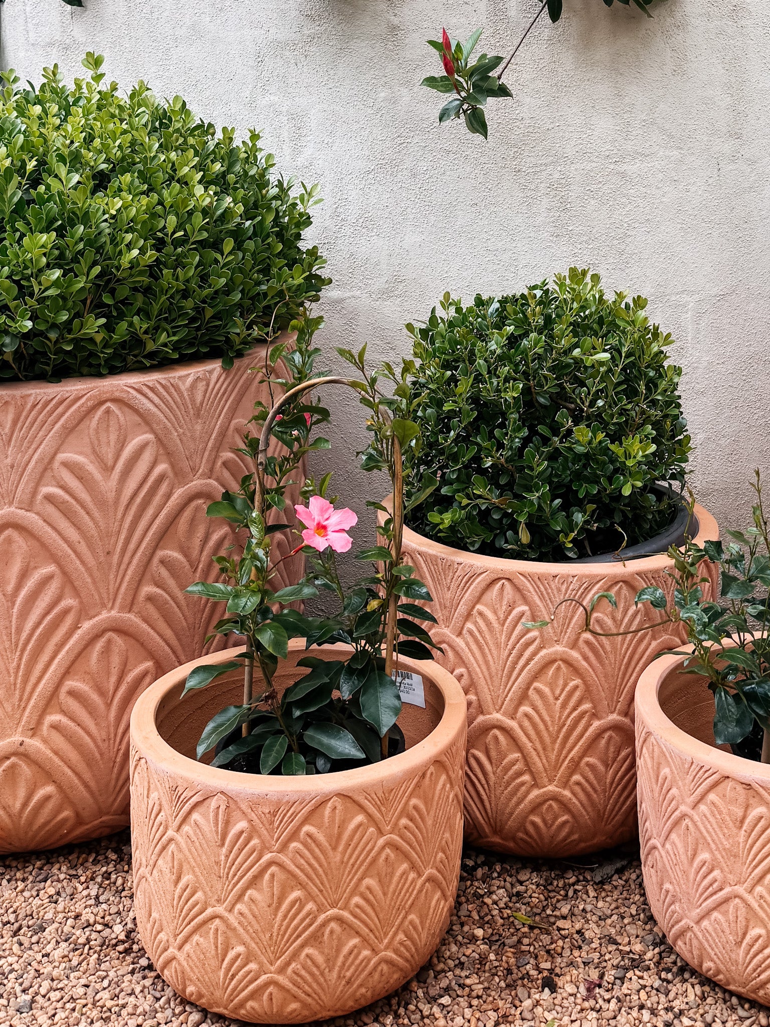 Terracotta Motif Planter