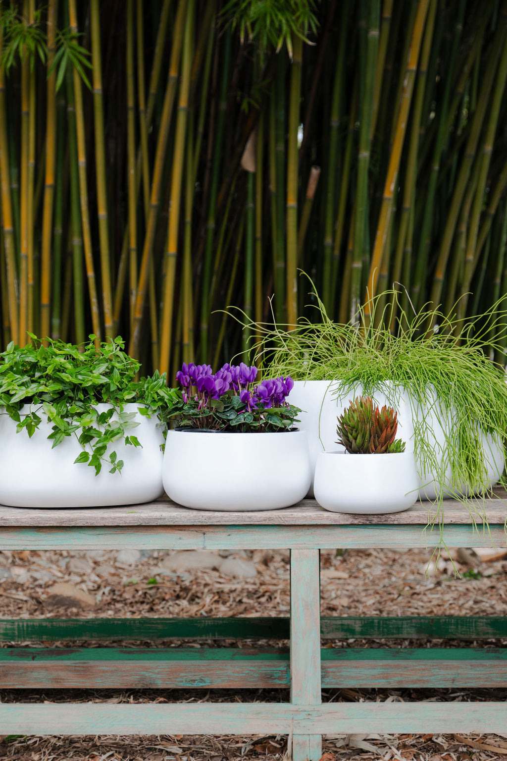 Low Bowl Cylinder Planter