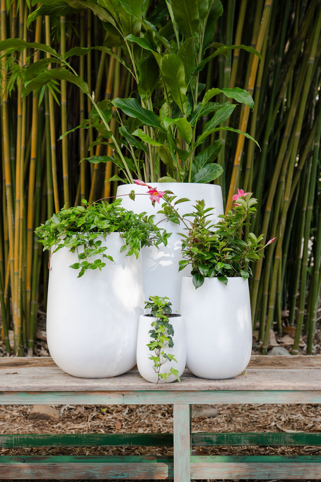 Tapered Cylinder Planter