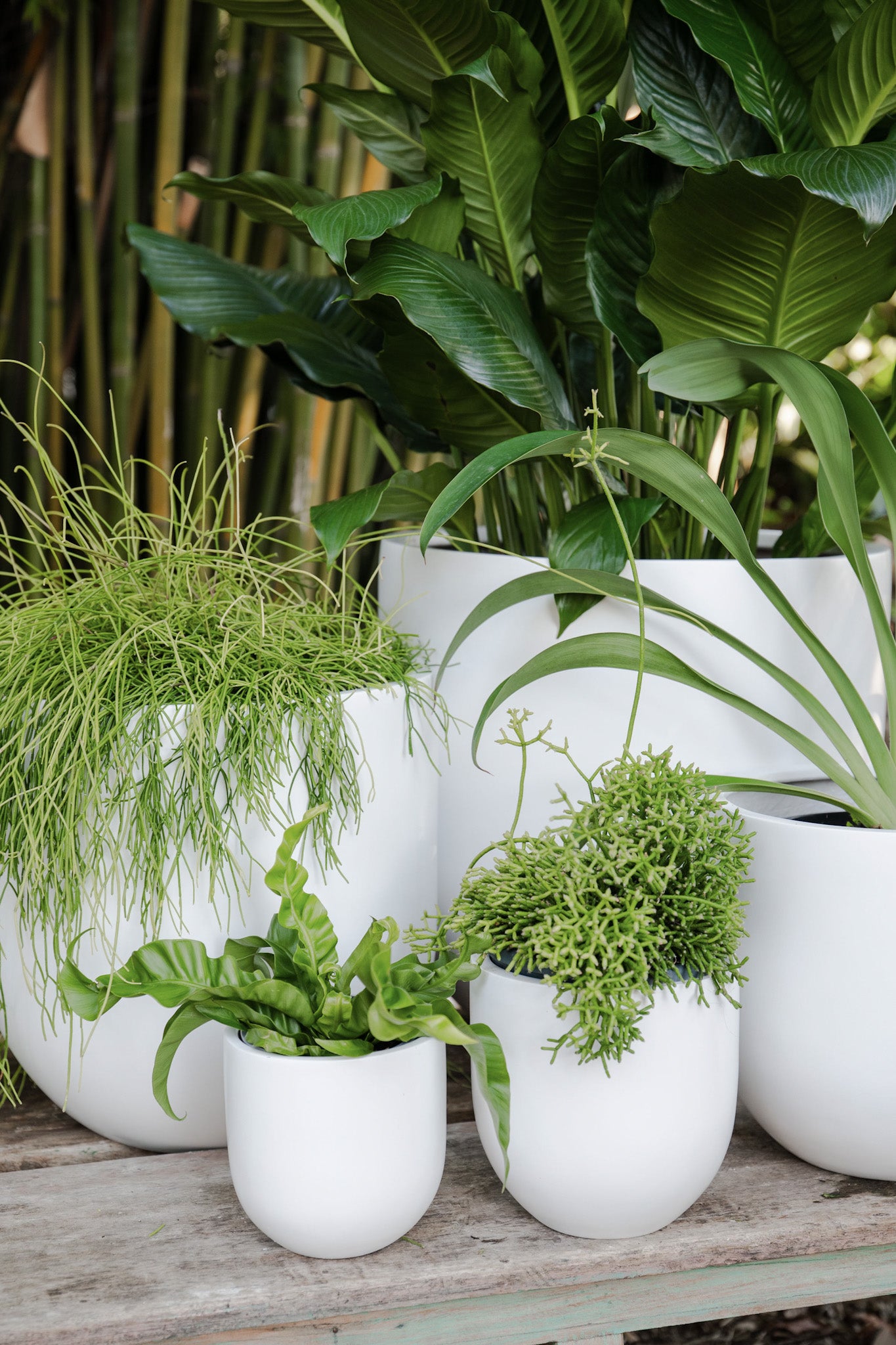 Curved Cylinder Planter
