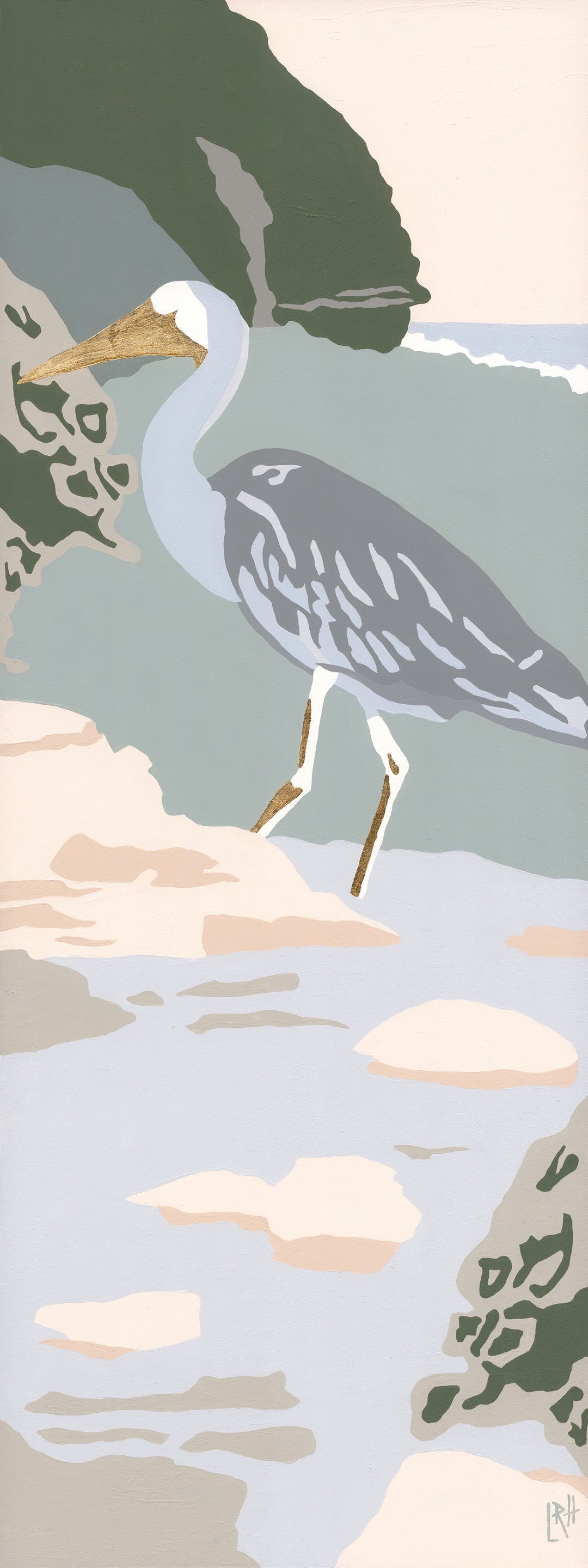 Pacific Reef-Heron, Avalon