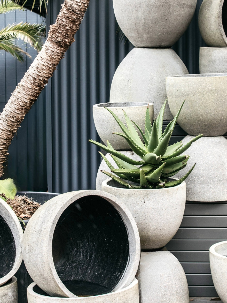 Palms Egg Planter Cement