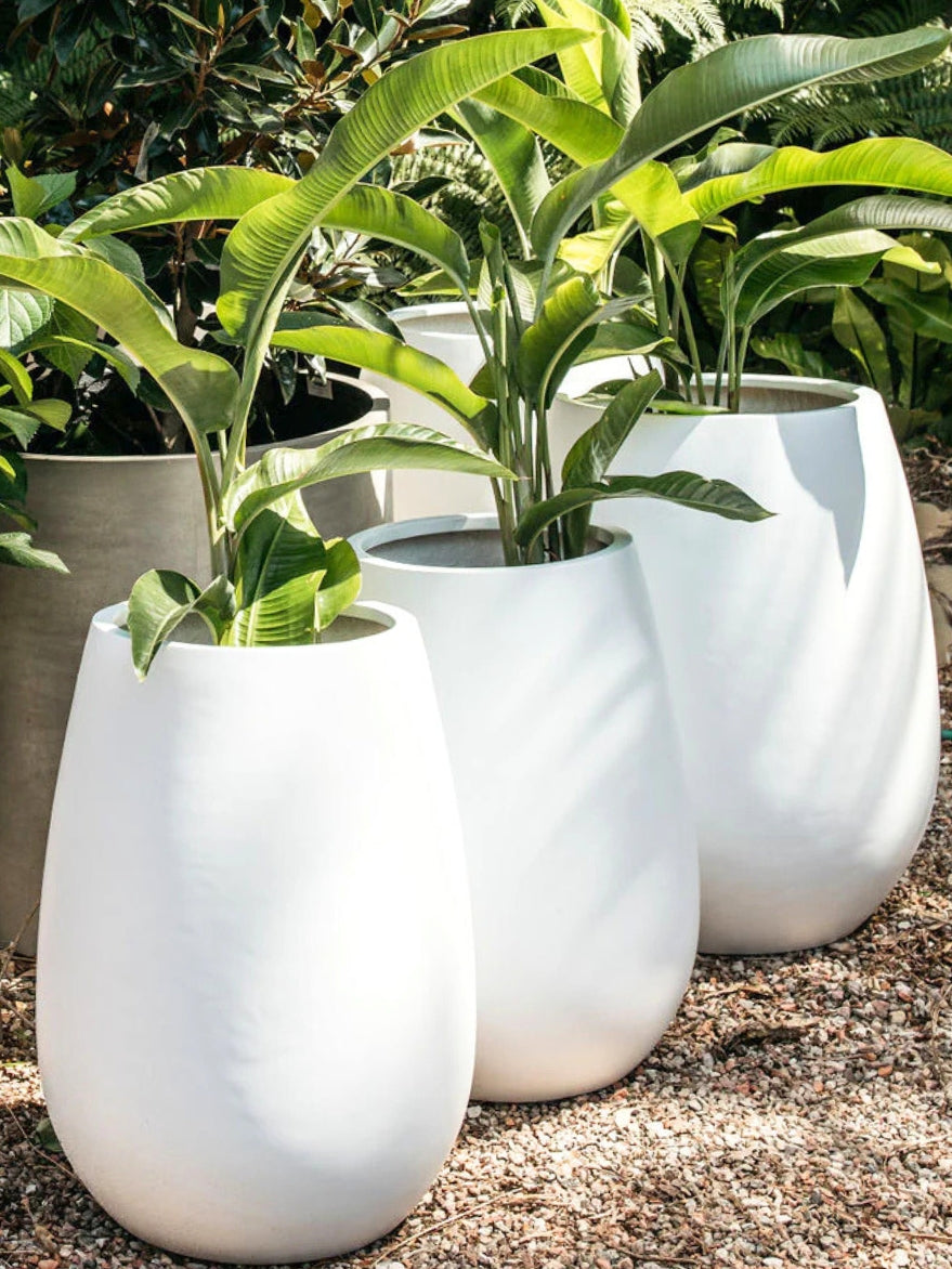 Palms Harbour Planter Satin White