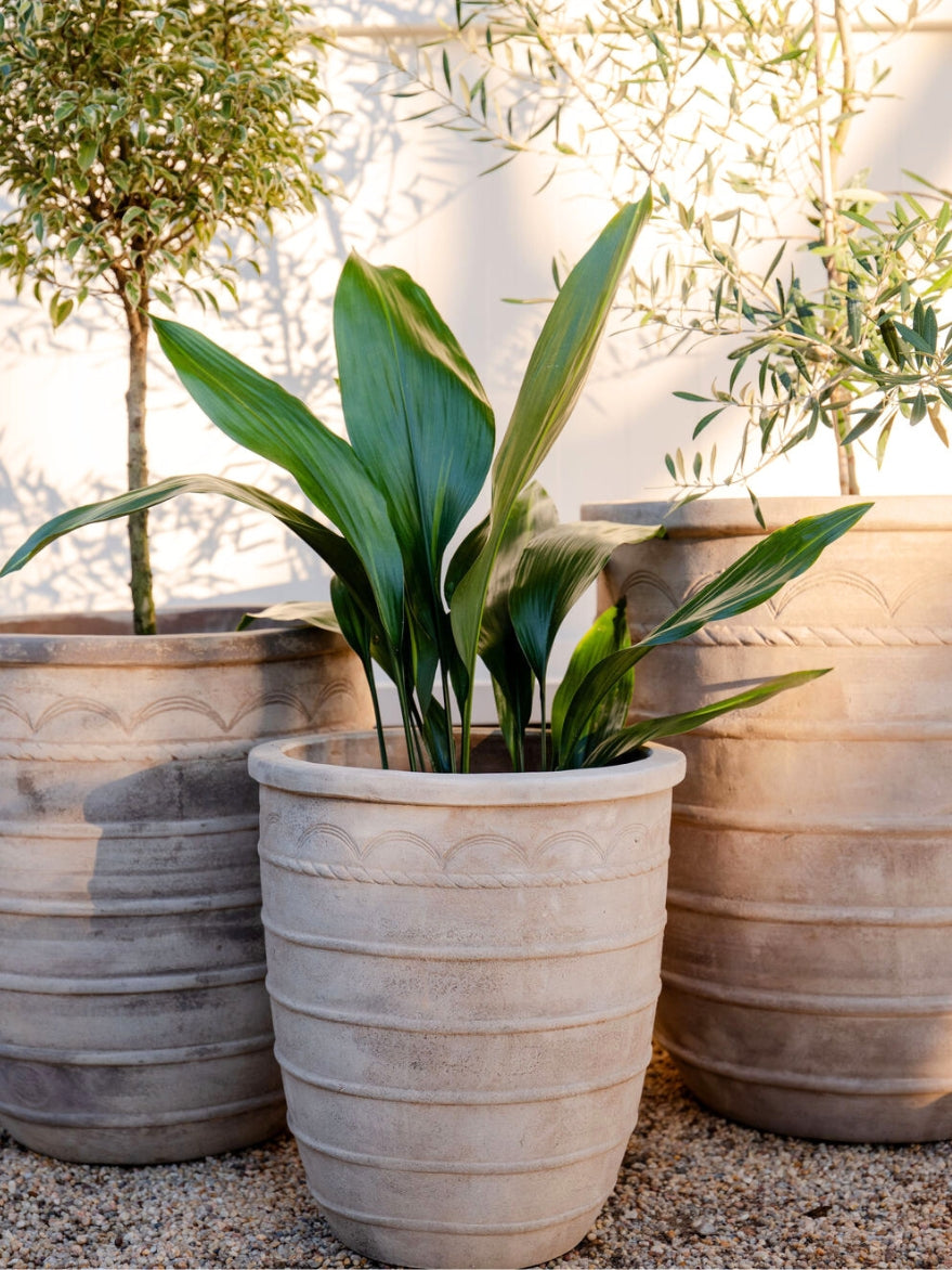 Terracotta Stripe Detailed Planter