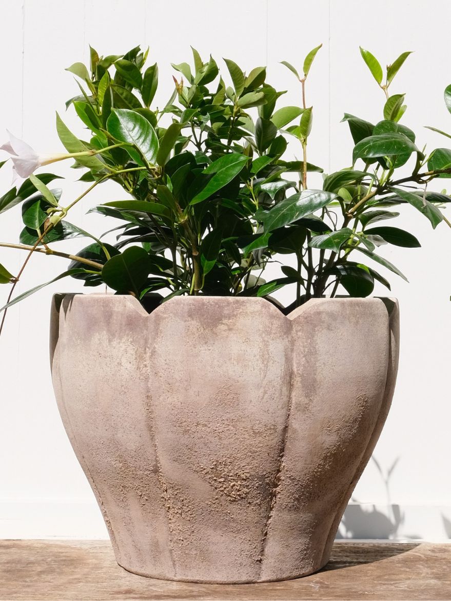 Terracotta Tulip Planter