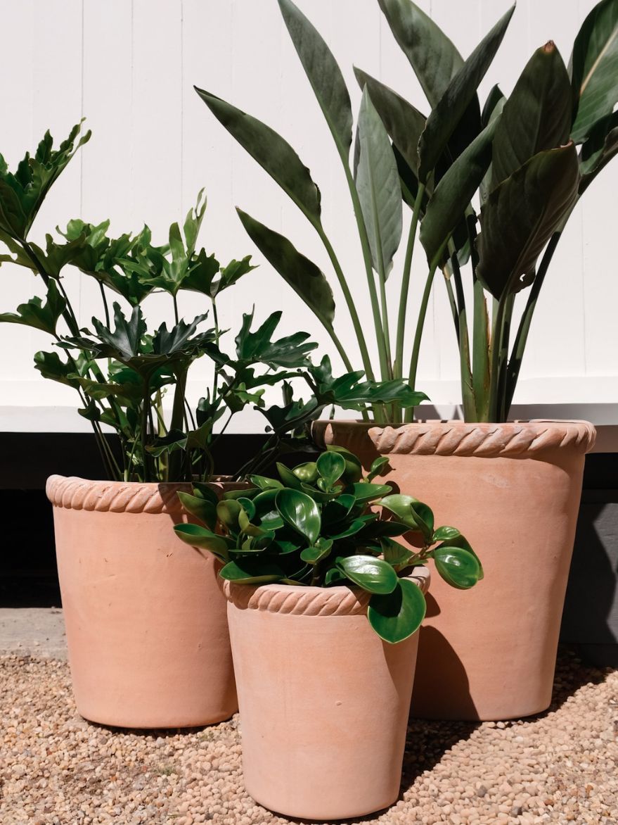 Terracotta Rope Planter
