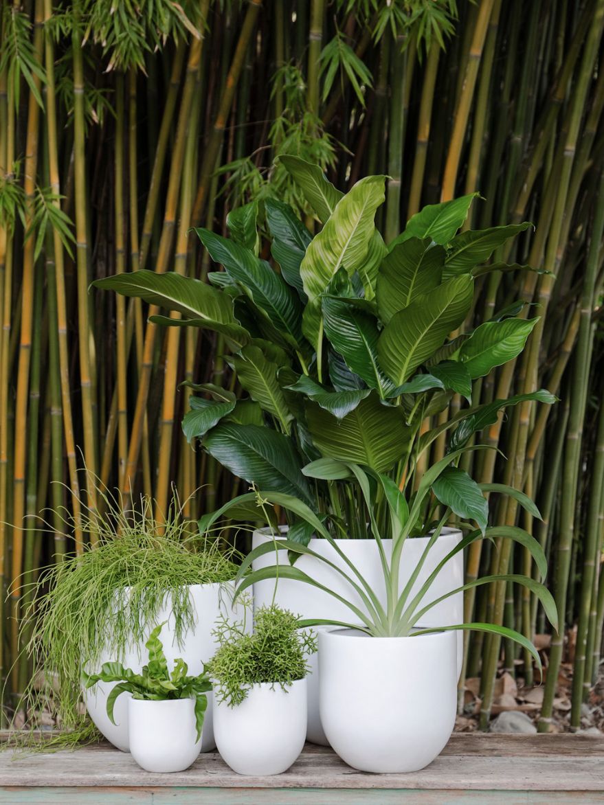 Curved Cylinder Planter