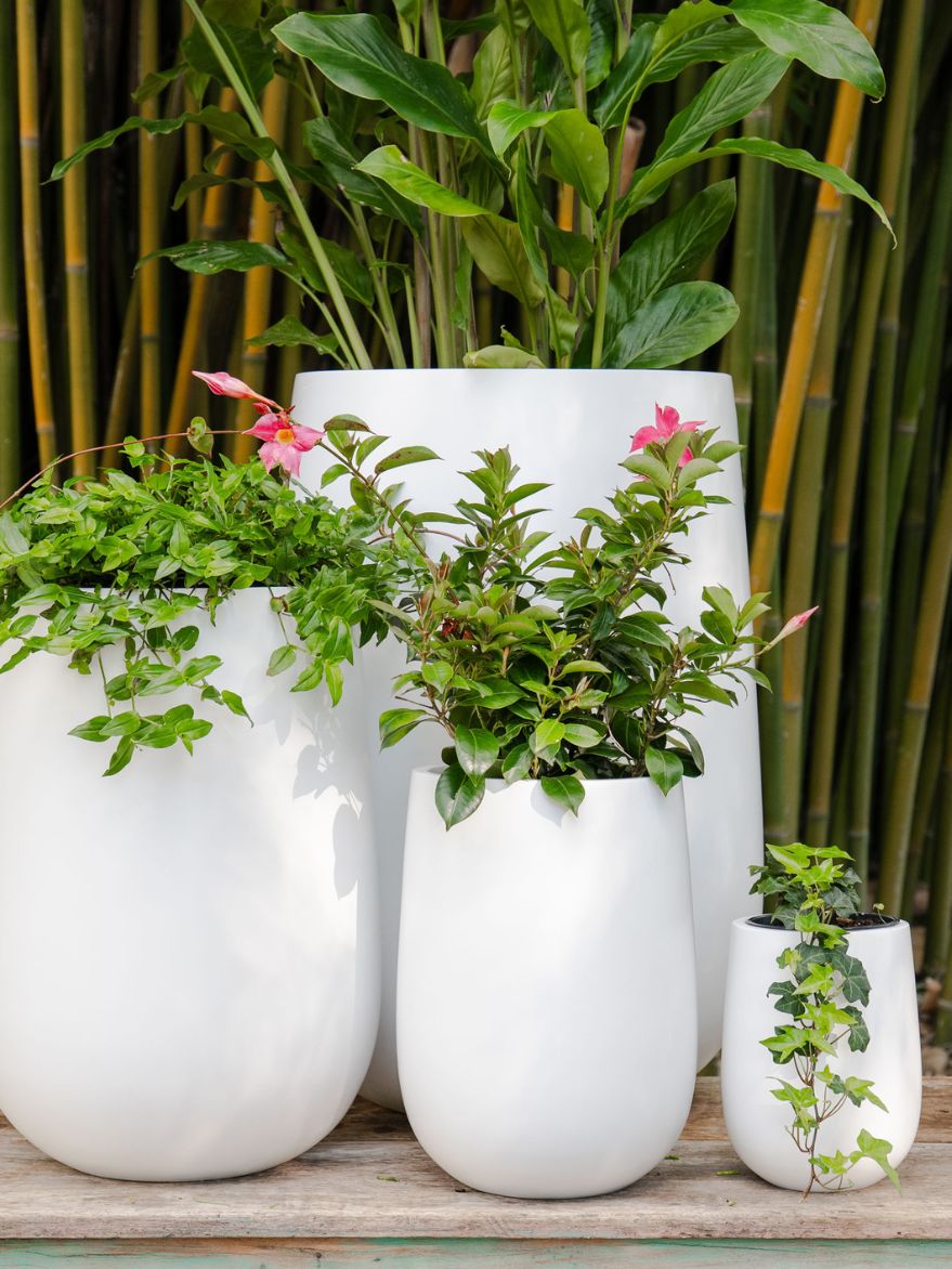 Tapered Cylinder Planter