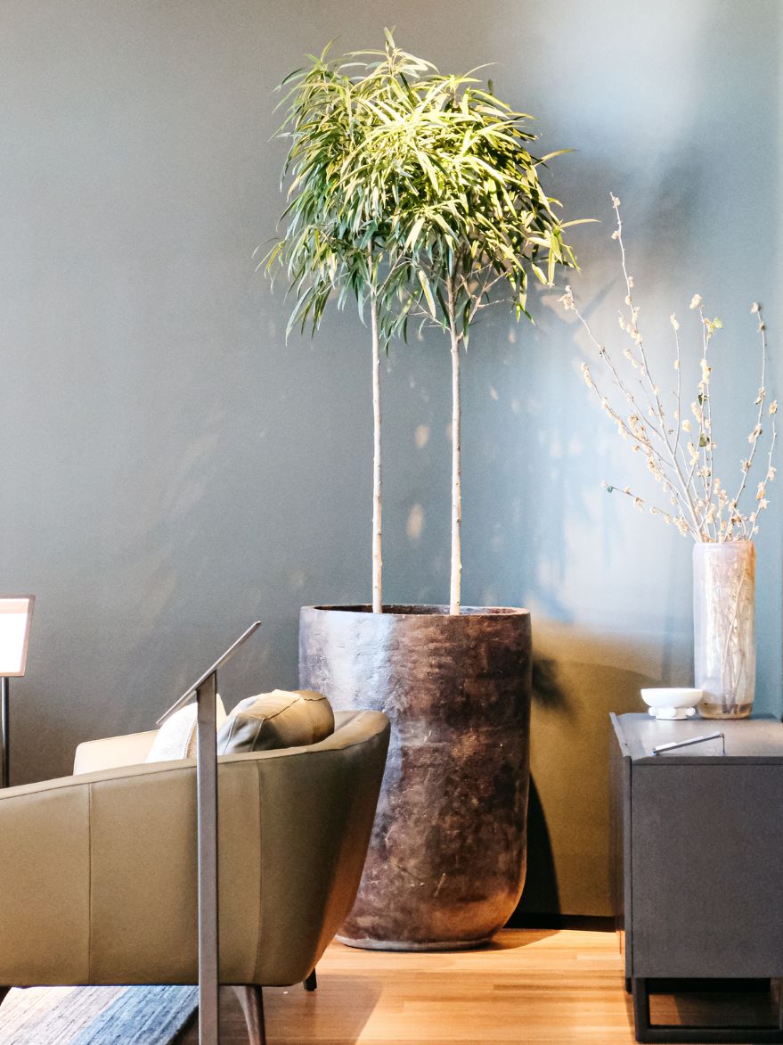 Cylindrical Thai Pot