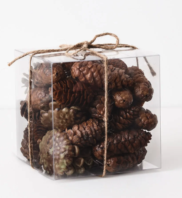 Pine Cone Mix in Box