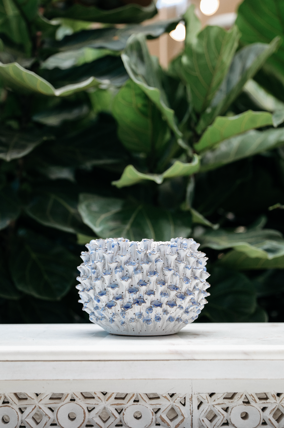 Round Oyster Vase