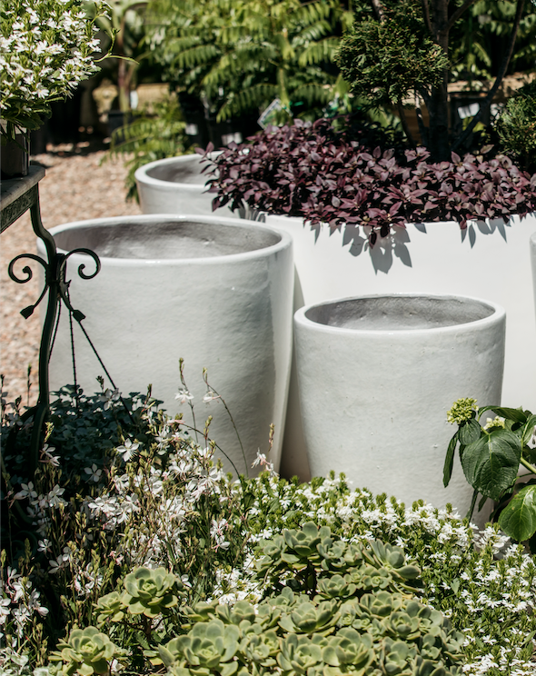 Palms Glazed Planter