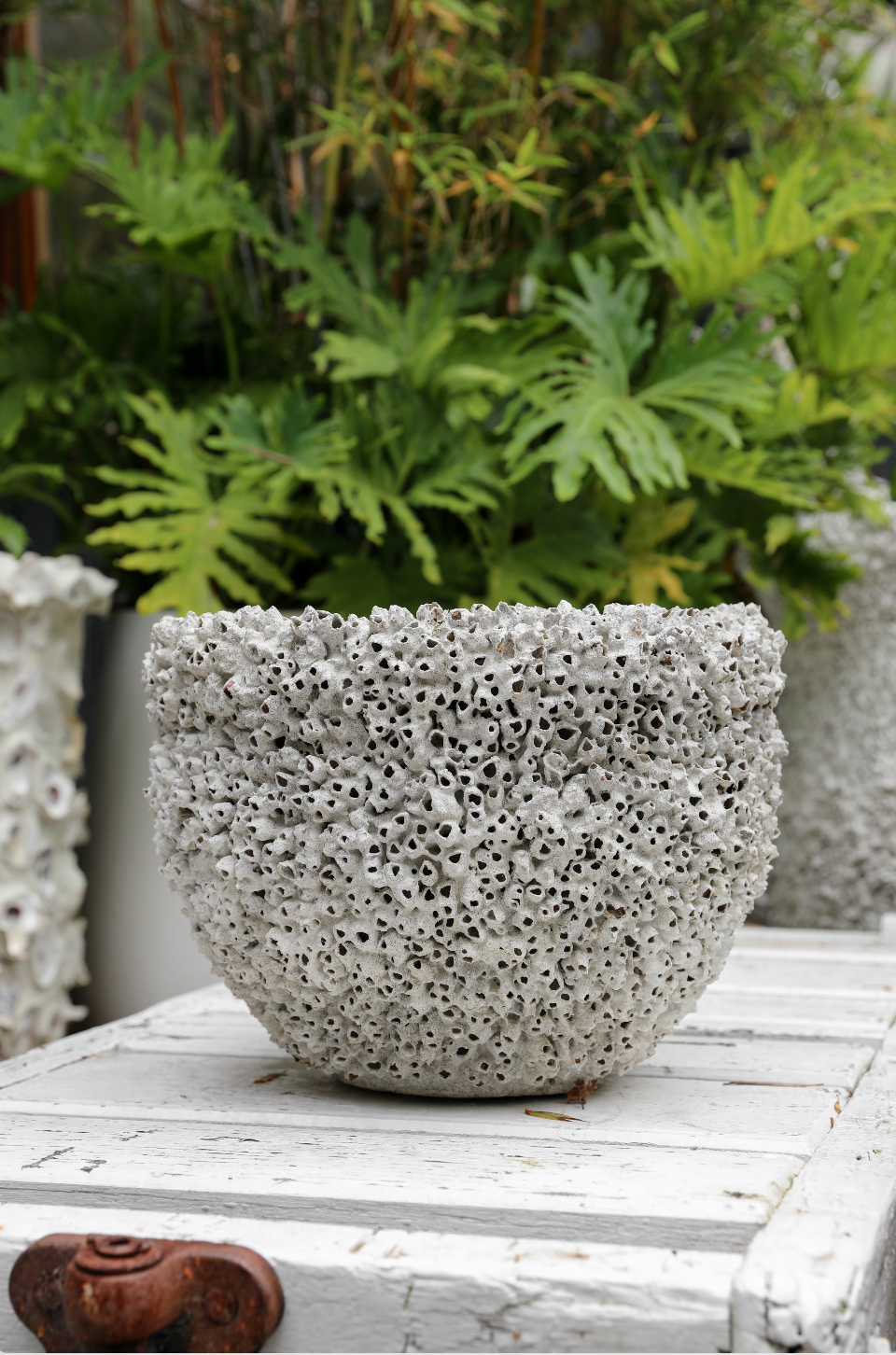 Barnacle Round Pot