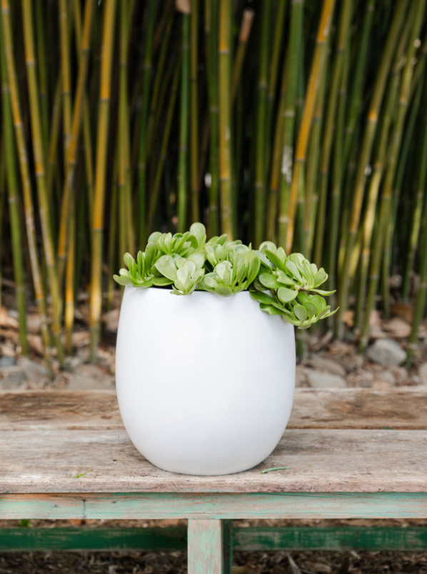 Round Cylinder Planter