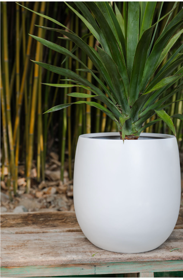 Round Cylinder Planter