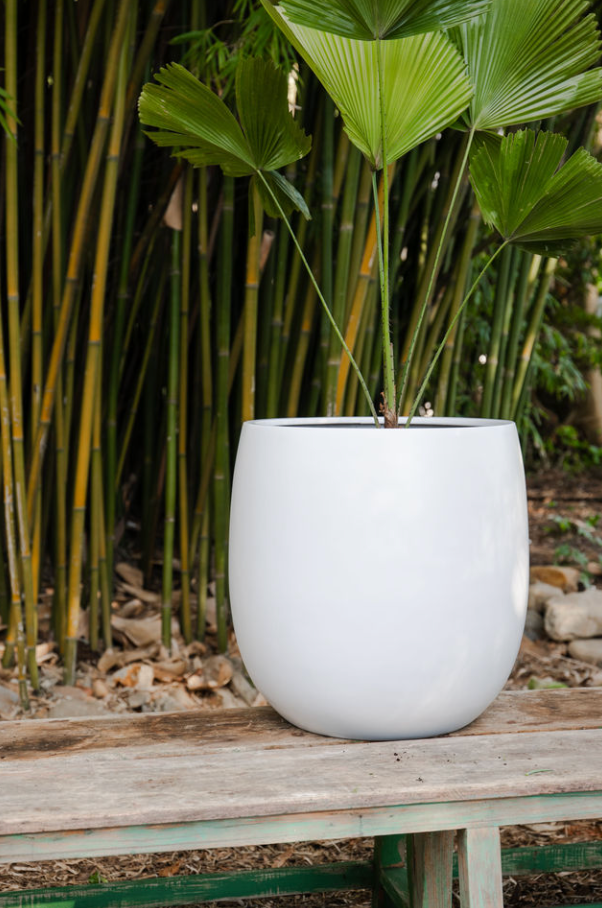 Round Cylinder Planter